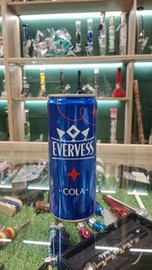 Тайник-банка 0,33 "Evervess"