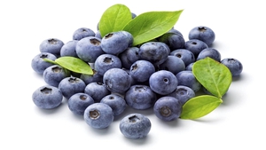 TPA blueberry wild