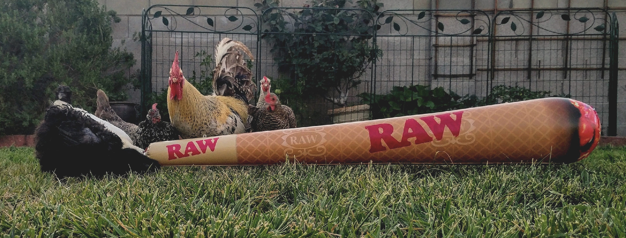 RAW Inflatable Giant Cone 13166 купить за 2851 руб. с доставкой в