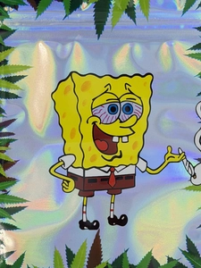 Зиплок "Bikini Bottom" SpongeBob