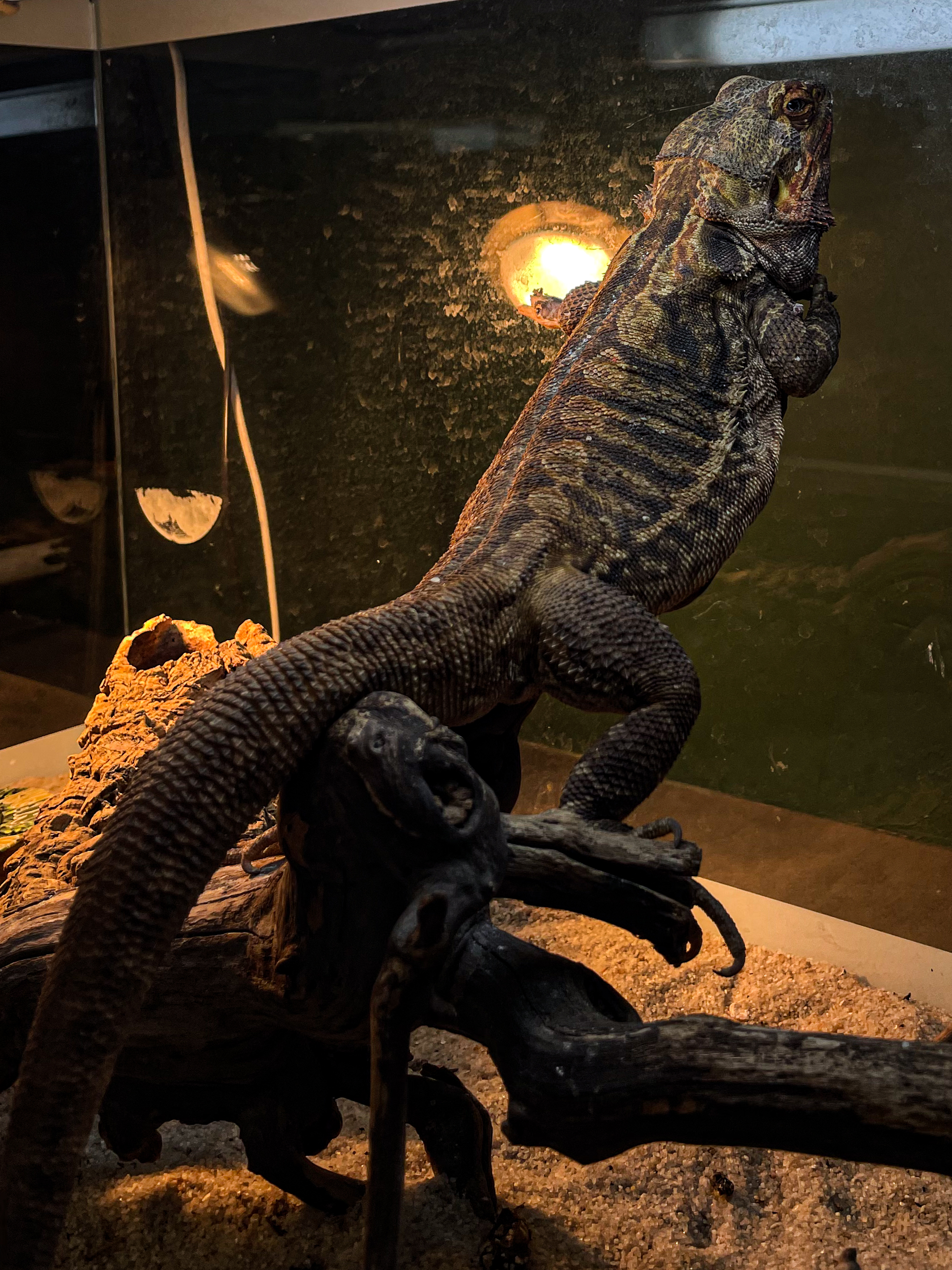 Санкт-Петербург, Колокольная