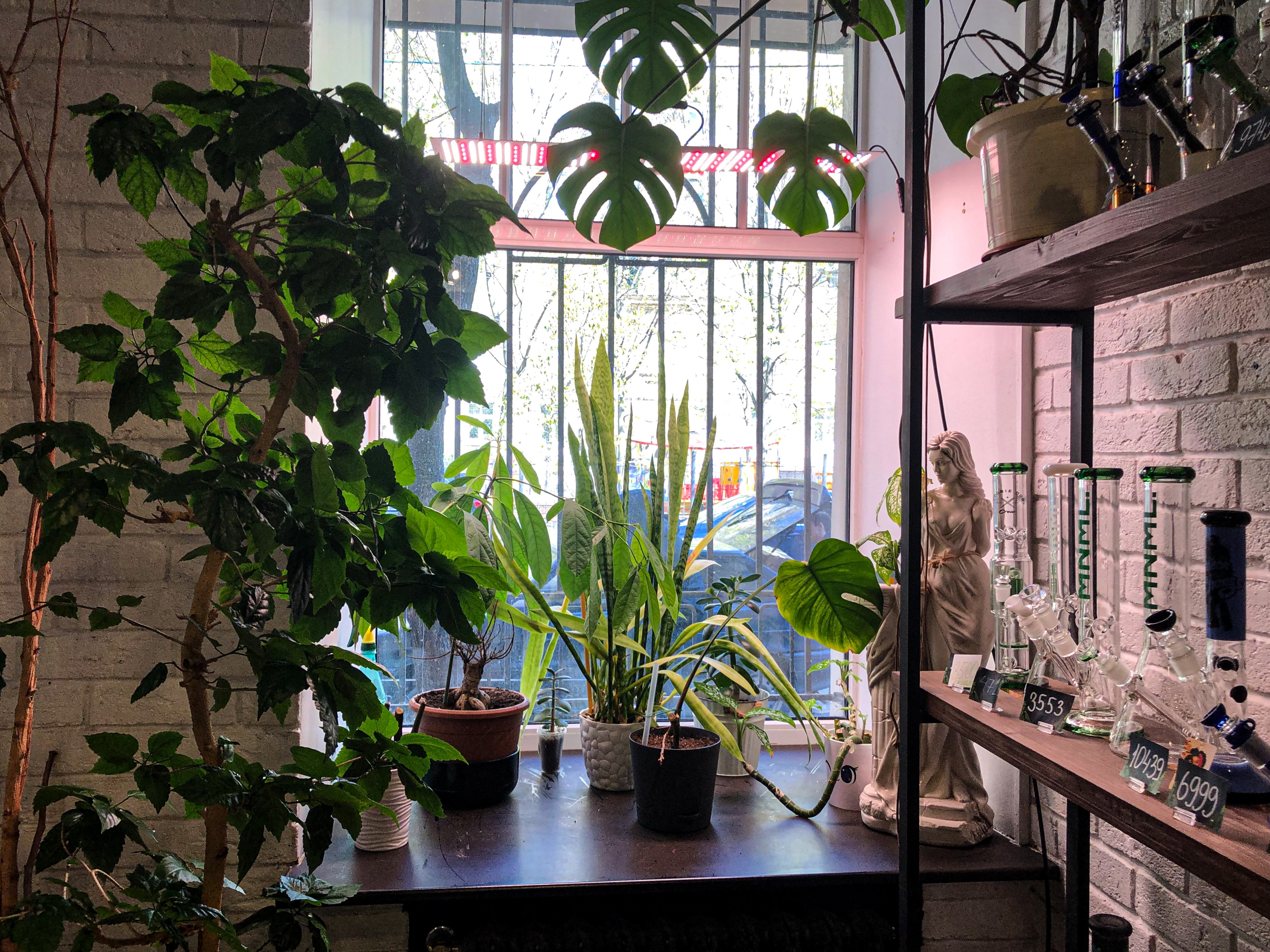 Санкт-Петербург, Лахтинская